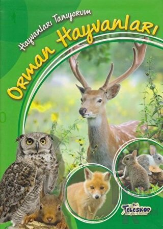 Hayvanları Tanıyorum - Orman Hayvanları - Halkkitabevi