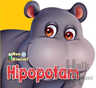 Hipopotam
