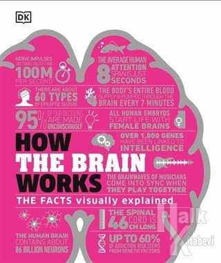 How the Brain Works (Ciltli)