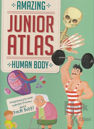 Human Body (Amazing Junior Atlas) (Ciltli)