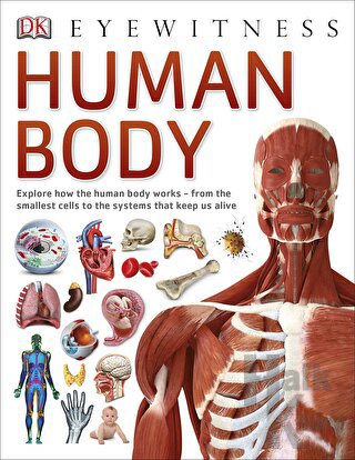 Human Body (Ciltli)
