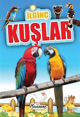 İlginç Kuşlar - Halkkitabevi