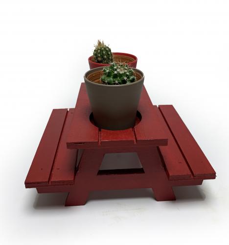 Lora Dekoratif Kırmızı Bank Kaktüslük - Halkkitabevi Lora Dekoratif Kırmızı Bank Kaktüslük - Halkkitabevi