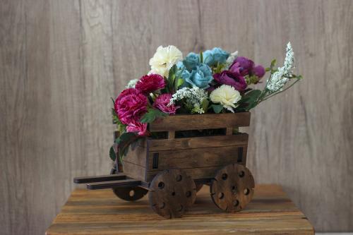 Küçük Geçme Kağnı Çiçeklik - Halkkitabevi