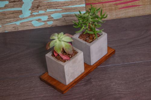 HK Dekor Beton Saksı Takımı - Halkkitabevi