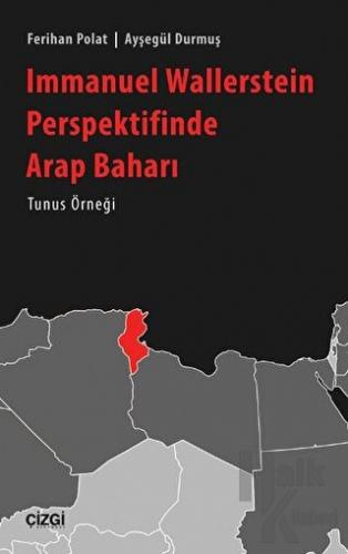 Immanuel Wallerstein Perspektifinde Arap Baharı Tunus Örneği