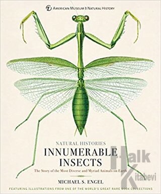 Innumerable Insects (Ciltli)