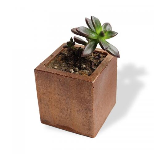 Kare Beton Saksı Bakır