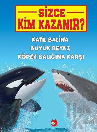 Katil Balina Büyük Beyaz Köpek Balığına Karşı - Sizce Kim Kazanır?