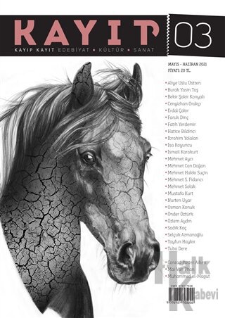 Kayıp Kayıt Edebiyat Kültür ve Sanat Dergisi Sayı: 3 Mayıs - Haziran 2