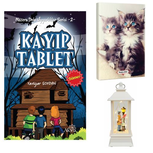 Kayıp Tablet - Maviş Kediler Planlama Defteri ve Sokak Lambalı Aşk Fener Tipi Işıklı Kar Küresi