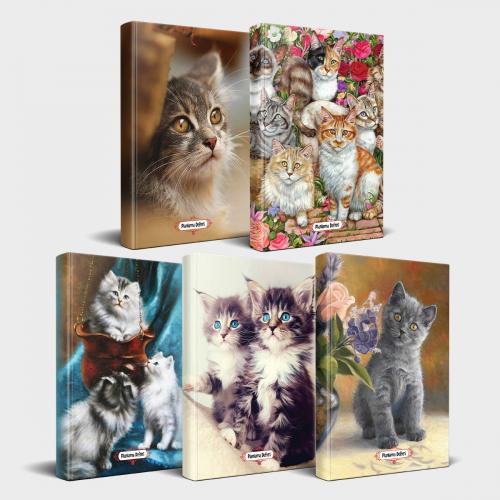 Kedili Defter Seti - 5 Defter V2 - Halkkitabevi