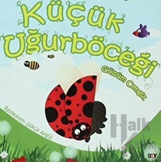 Kelebek Kitapları (10 Kitap Takım)