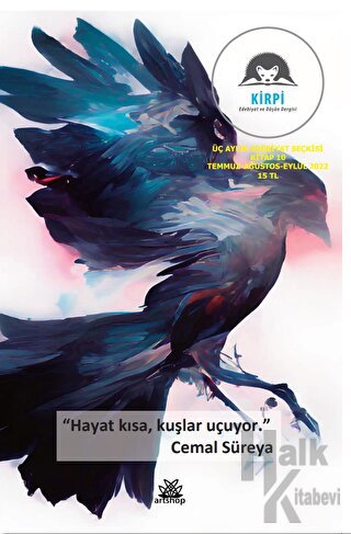Kirpi ve Edebiyat Düşün Dergisi Üç Aylık Edebiyat Seçkisi Kitap 10 Temmuz - Ağustos - Eylül 2022
