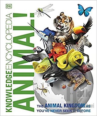 Knowledge Encyclopedia Animal (Ciltli) - Halkkitabevi