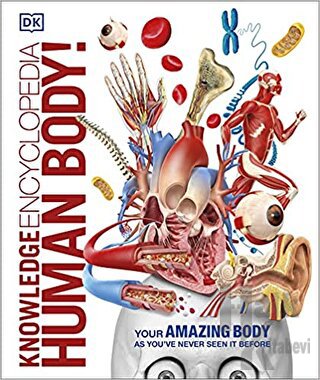 Knowledge Encyclopedia Human Body (Ciltli)