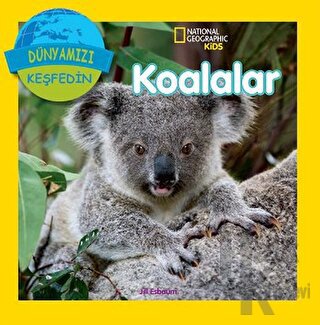Koalalar - Dünyamızı Keşfedin - Halkkitabevi