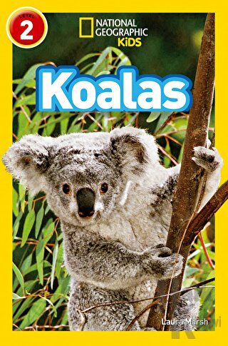 Koalas (Readers 2) - Halkkitabevi