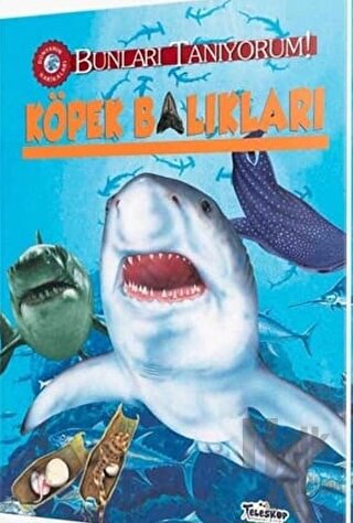 Köpek Balıkları - Bunları Tanıyorum! (Ciltli)