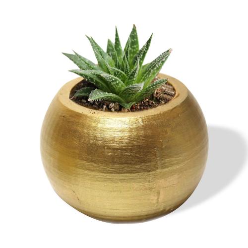 Küre Beton Saksı - Altın - Halkkitabevi