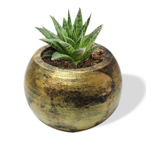 Küre Beton Saksı - Siyah Üstü Altınvarak - Halkkitabevi