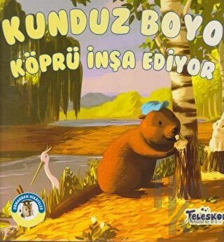 Kunduz Boyo Köprü İnşa Ediyor - Ormandan Hikayeler