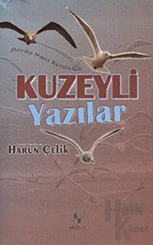 Kuzeyli Yazılar