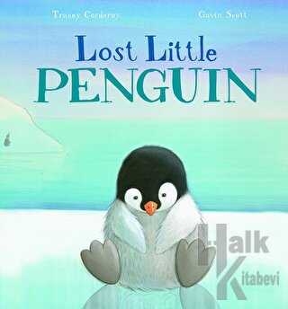 Little Penguin Lost (Ciltli) - Halkkitabevi