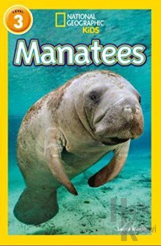Manatees (Readers 3)