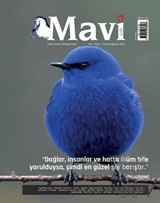 Mavi Gök Kültür Sanat Edebiyat Dergisi Sayı: 8 Temmuz - Ağustos 2022 -