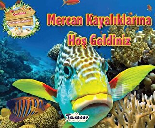 Mercan Kayalıklarına Hoş Geldiniz