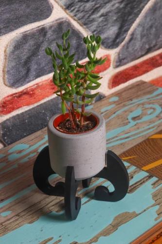 Mia H Standlı Küçük Silindir Beton Saksı - Halkkitabevi