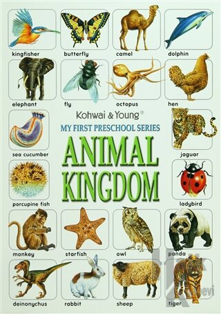 My First Preschool Series: Animal Kingdom - Halkkitabevi