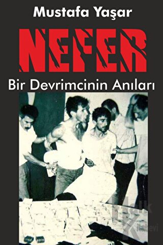 Nefer