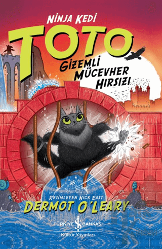 Ninja Kedi Toto - Gizemli Mücevher Hırsızı - Halkkitabevi