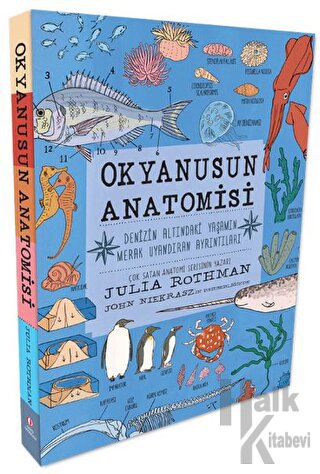 Okyanusun Anatomisi - Halkkitabevi