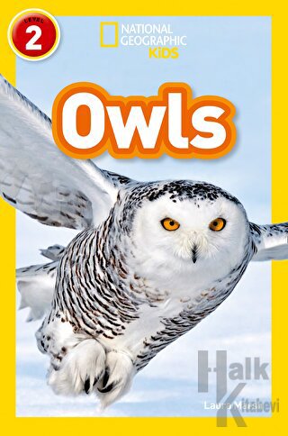 Owls (Readers 2) - Halkkitabevi