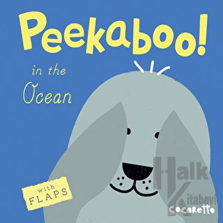 Peekaboo! In the Ocean! (Ciltli)