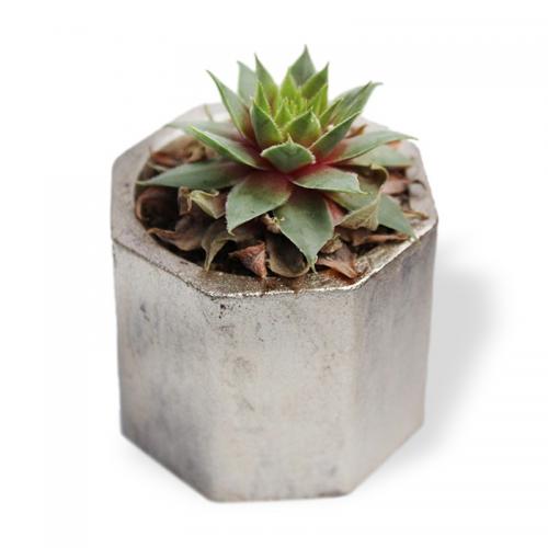 Sekizgen Silindir Beton Saksı, Gümüş - Küçük Boy