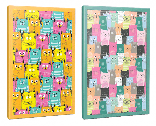 Sivri Kulaklar 2li 64 Sayfa Çizgili Okul Defteri Seti -2 - Halkkitabe