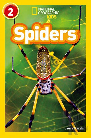 Spiders (Readers 2)