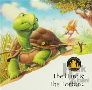 The Hare & The Tortoise