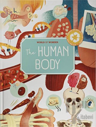 The Human Body (World of Wonder) (Ciltli)