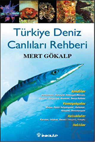Türkiye Deniz Canlıları Rehberi (Ciltli)