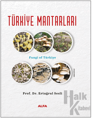 Türkiye Mantarları (Ciltli)