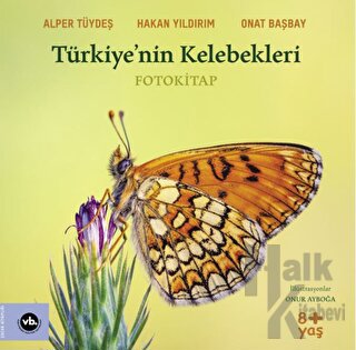 Türkiye’nin Kelebekleri - Halkkitabevi