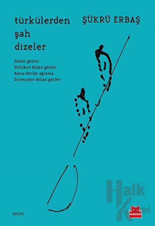 Türkülerden Şah Dizeler