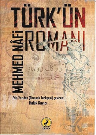 Türk'ün Romanı