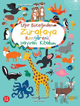 Uğur Böceğinden Zürafaya Rengarenk Hayvan Kitabım - Halkkitabevi