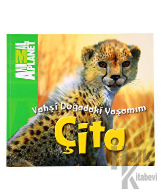 Vahşi Doğadaki Yaşamım: Çita - Halkkitabevi